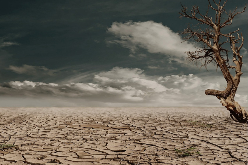 Kuraklık milyonlarca insanı göçe zorlayacak