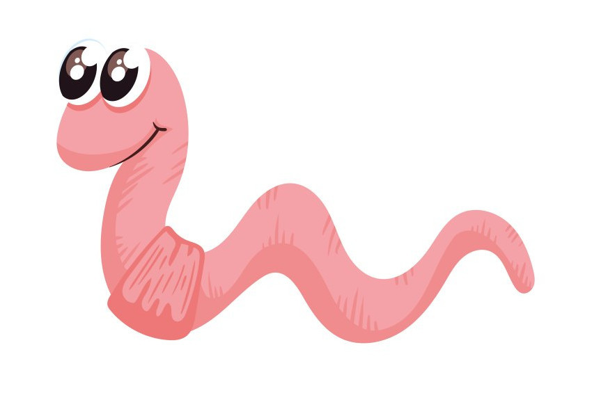 Solucanlar Evrim Modelini Tersyüz Ediyor