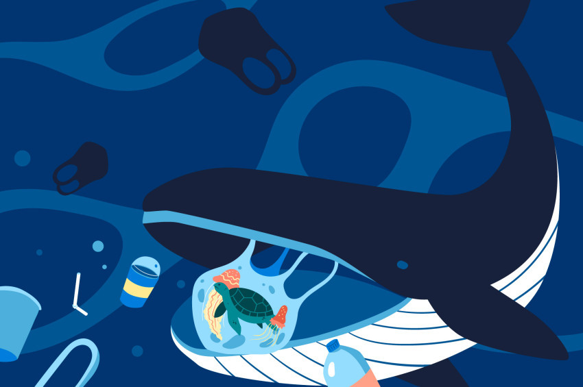 Mikroplastik Kirliliğiyle Mücadele için sahilleri temizlemek yetmiyor