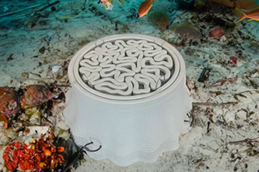 Rüzgar ve Güneş Enerjisini Depolamanın Yeni Yolu: Okyanus Pilleri