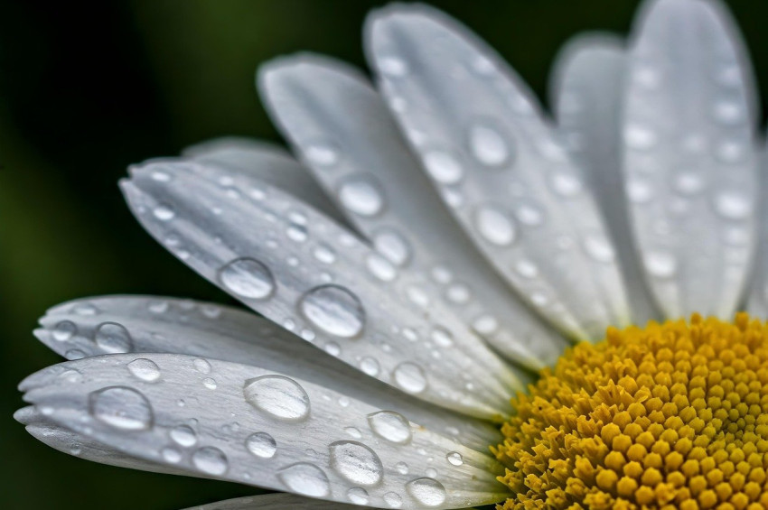 İstanbula yağmur müjdesi var ama sıcaklık artışı ürecek