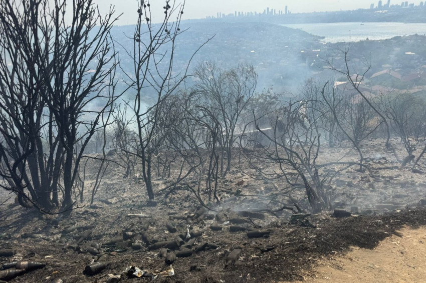 Beykozda orman yangını çıktı:  500 metrekarelik alan zarar gördü.