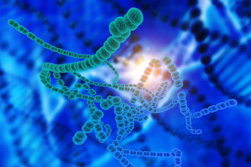 Hijyen yoksa Helikobakter pilori, o olunca da bu sağlık sorunları var!