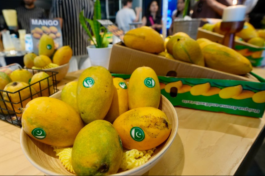 Huzurlarınızda Pakistan mangosu