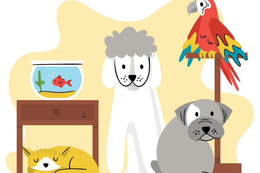 Danimarkada akıllara ziyan evcil hayvan bağışı talebi