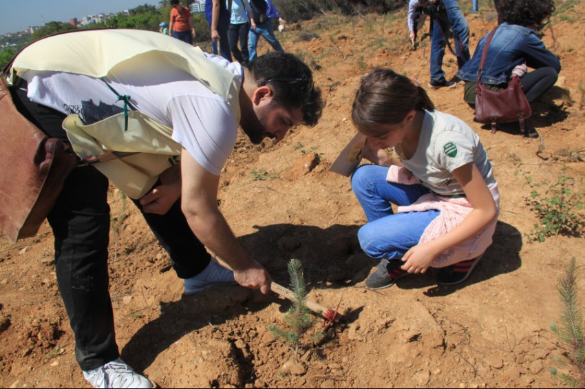 ÇEKÜL Vakfından doğa severlere uyarı: Yanan alanlara fidan dikmek için acele etmeyin