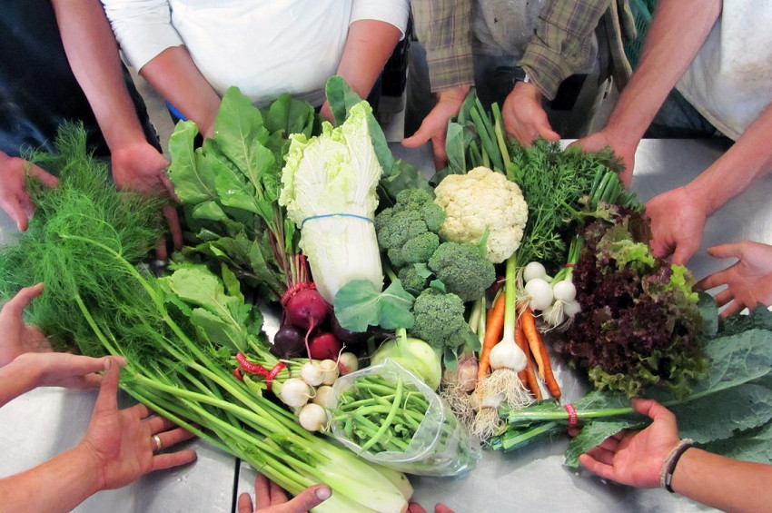 Sağlıklı gıda erişim ağı için Gıda Topluluğu kurma rehberi