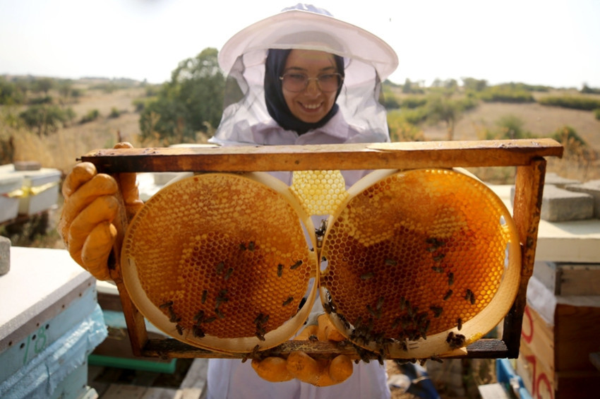 Türkiye bu yıl 31 ülkeye bal tattırdı