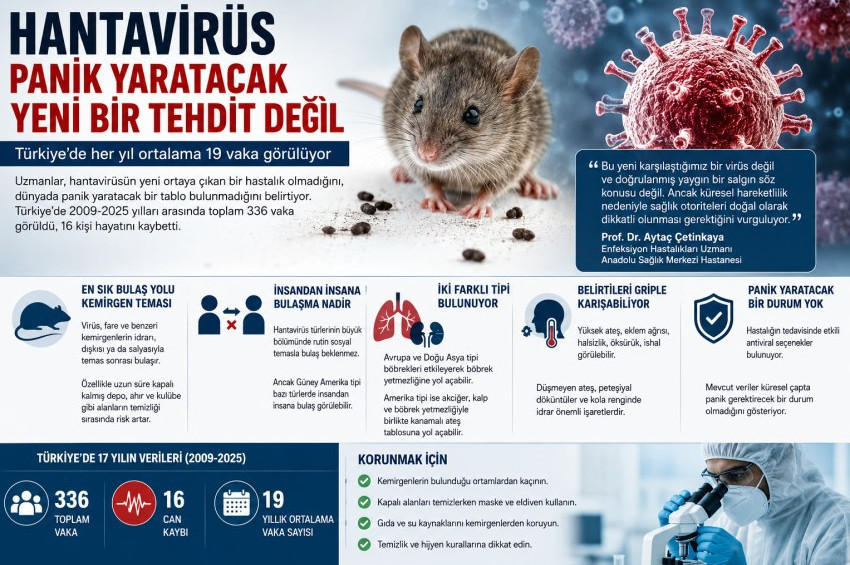 Türkiye’de Hantavirüs kaç kişiye bulaştı, bugüne dek kaç kişi öldü?
