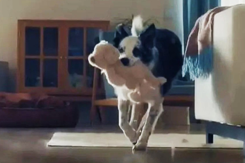 Bosch tepkiler üzerine Anneler Günü reklam filmini yayından kaldırdı